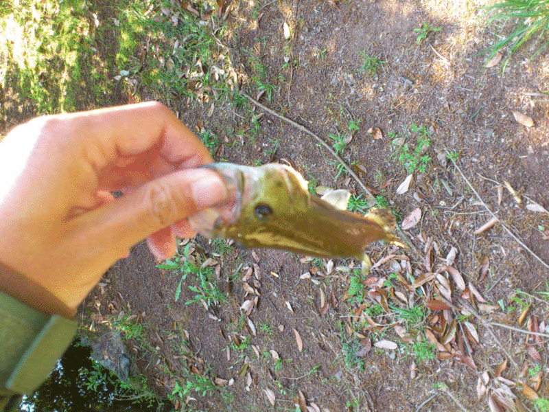 f:id:puchitenshi:20130511004108g:image f:id:puchitenshi:20130511004108g:image