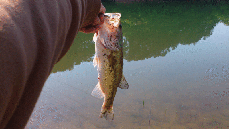 f:id:puchitenshi:20130511004140g:image f:id:puchitenshi:20130511004140g:image