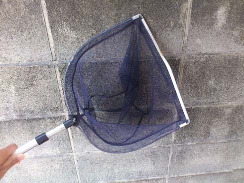 f:id:puchitenshi:20130522030140j:image