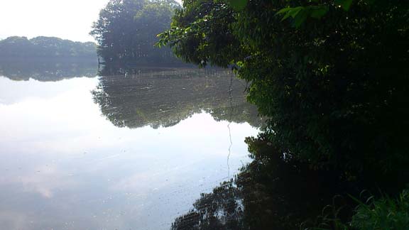 f:id:puchitenshi:20130525005324j:image