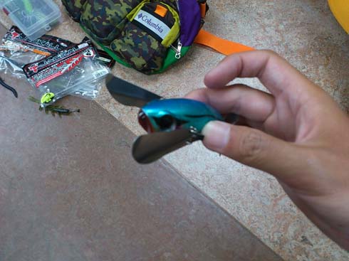 f:id:puchitenshi:20130606010922j:image f:id:puchitenshi:20130606010922j:image