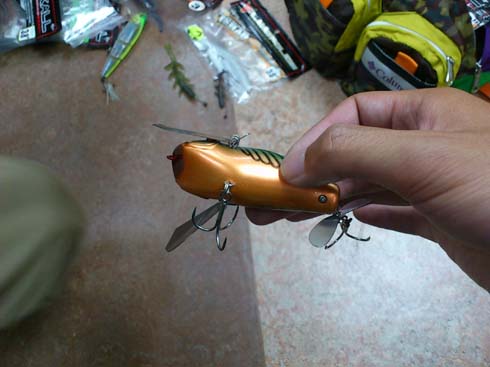 f:id:puchitenshi:20130606010933j:image f:id:puchitenshi:20130606010933j:image