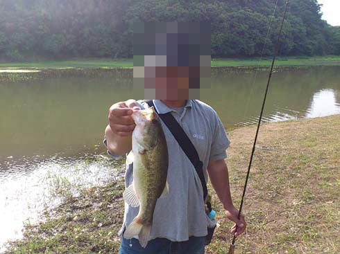 f:id:puchitenshi:20130606010951j:image f:id:puchitenshi:20130606010951j:image