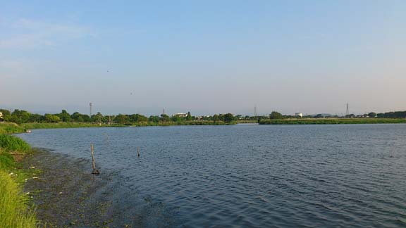 f:id:puchitenshi:20130609021148j:image