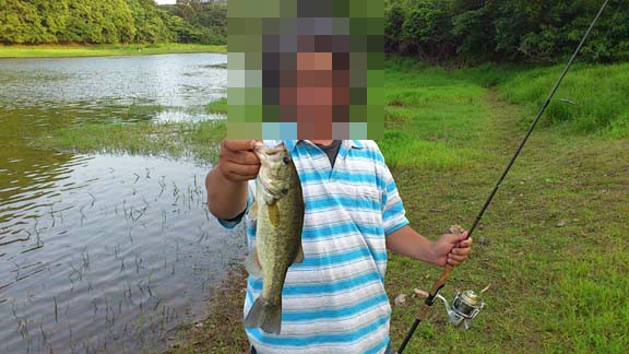 f:id:puchitenshi:20130609021248j:image