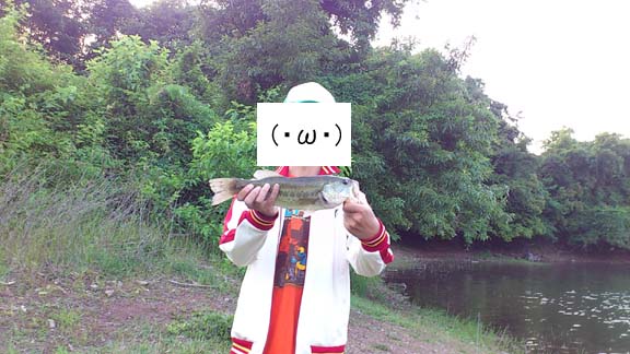 f:id:puchitenshi:20130609021303j:image