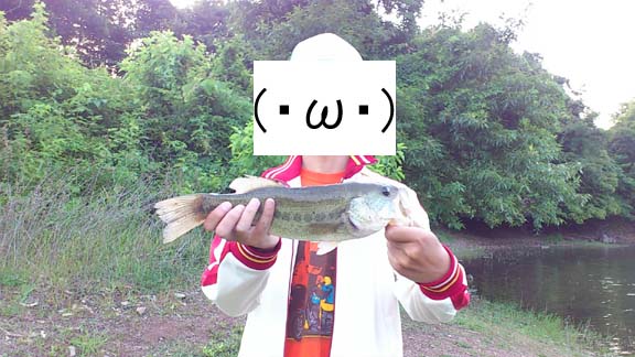 f:id:puchitenshi:20130609021319j:image