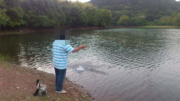 f:id:puchitenshi:20130609021345j:image