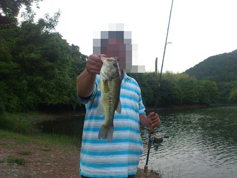 f:id:puchitenshi:20130609021405j:image