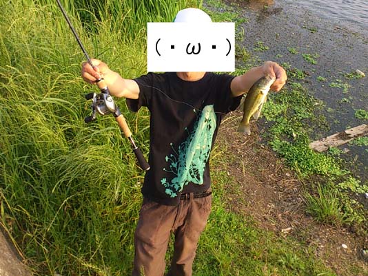 f:id:puchitenshi:20130610013708j:image f:id:puchitenshi:20130610013708j:image