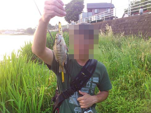 f:id:puchitenshi:20130610013841j:image f:id:puchitenshi:20130610013841j:image