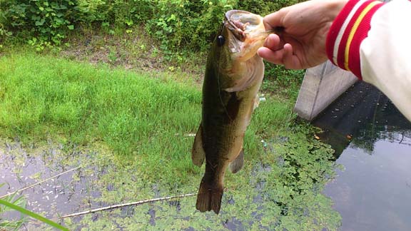 f:id:puchitenshi:20130625172401j:image f:id:puchitenshi:20130625172401j:image