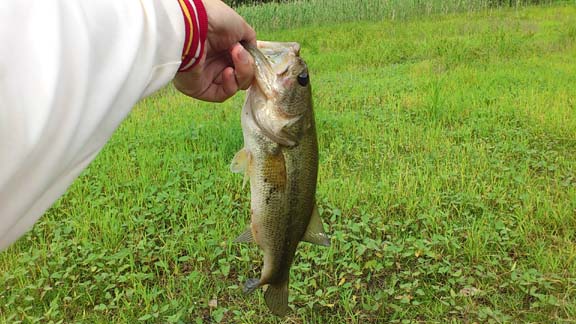 f:id:puchitenshi:20130625172457j:image f:id:puchitenshi:20130625172457j:image