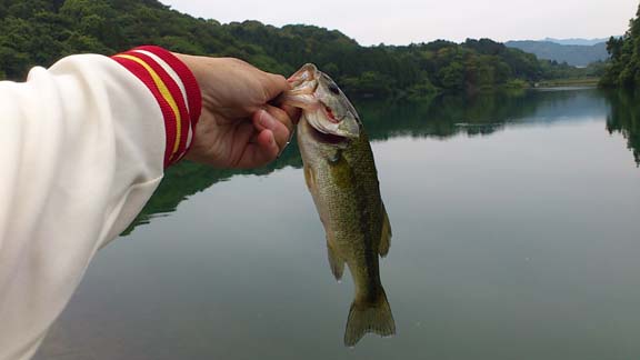 f:id:puchitenshi:20130625172519j:image f:id:puchitenshi:20130625172519j:image