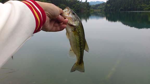 f:id:puchitenshi:20130625172531j:image f:id:puchitenshi:20130625172531j:image