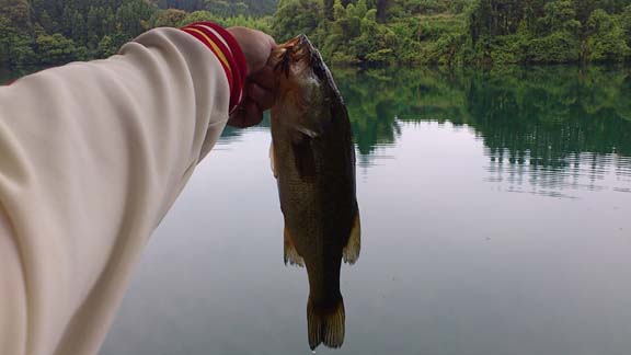 f:id:puchitenshi:20130625172541j:image f:id:puchitenshi:20130625172541j:image