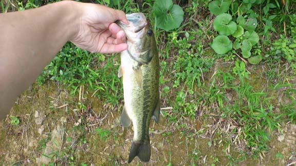 f:id:puchitenshi:20130626094217j:image f:id:puchitenshi:20130626094217j:image