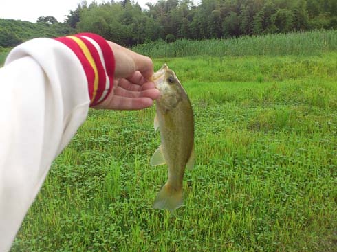 f:id:puchitenshi:20130626094510j:image f:id:puchitenshi:20130626094510j:image