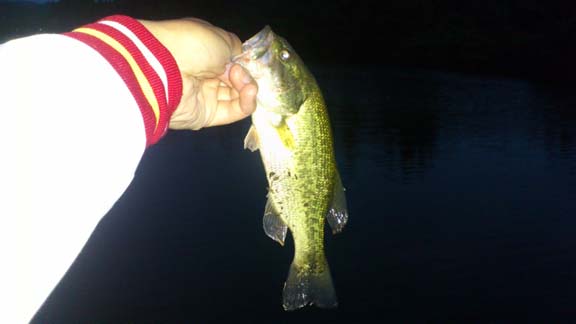 f:id:puchitenshi:20130626094528j:image f:id:puchitenshi:20130626094528j:image