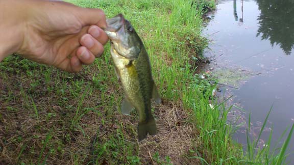 f:id:puchitenshi:20130628212936j:image f:id:puchitenshi:20130628212936j:image