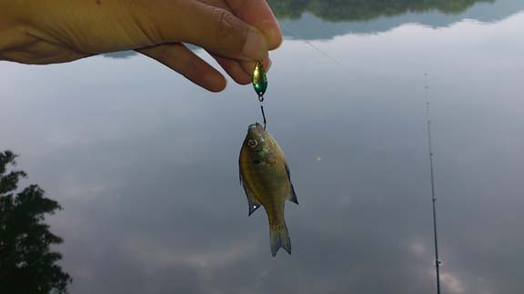 f:id:puchitenshi:20130628212959j:image f:id:puchitenshi:20130628212959j:image