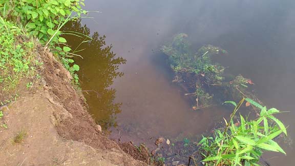 f:id:puchitenshi:20130628213038j:image f:id:puchitenshi:20130628213038j:image