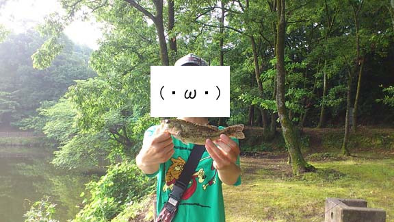 f:id:puchitenshi:20130628213053j:image f:id:puchitenshi:20130628213053j:image