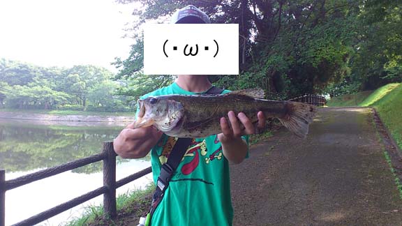 f:id:puchitenshi:20130628213115j:image f:id:puchitenshi:20130628213115j:image