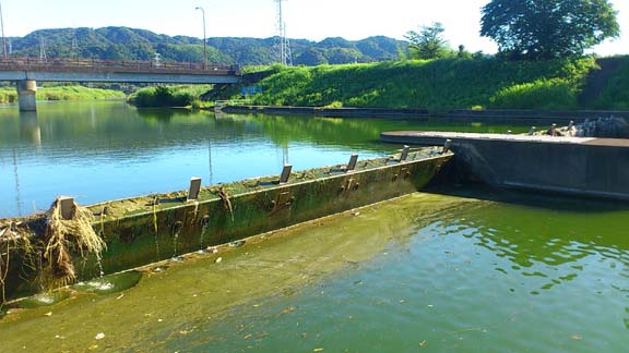 f:id:puchitenshi:20130714011433j:image