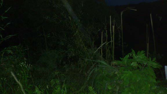 f:id:puchitenshi:20130714011458j:image