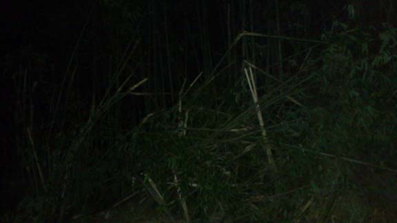 f:id:puchitenshi:20130714011506j:image