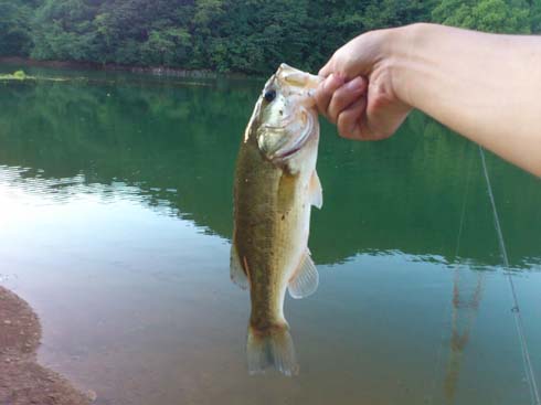 f:id:puchitenshi:20130714011538j:image