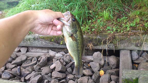 f:id:puchitenshi:20130730162023j:image