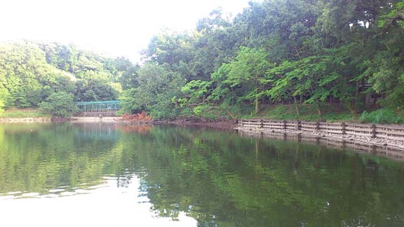 f:id:puchitenshi:20130801180621j:image