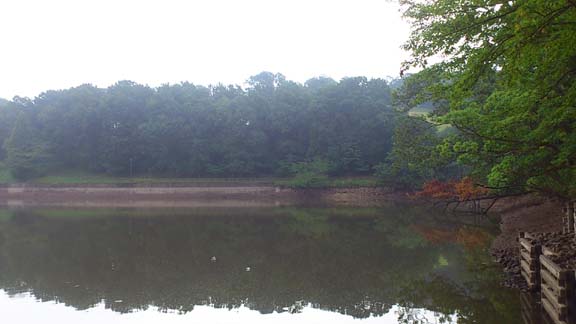 f:id:puchitenshi:20130803235803j:image