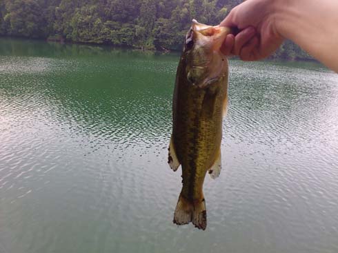 f:id:puchitenshi:20130803235950j:image