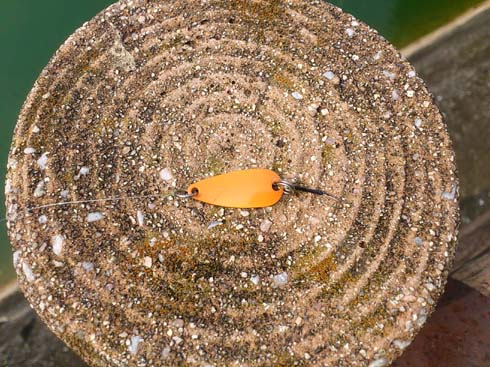 f:id:puchitenshi:20130804000026j:image