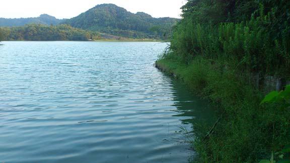 f:id:puchitenshi:20130814011947j:image f:id:puchitenshi:20130814011947j:image