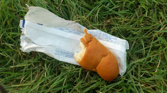 f:id:puchitenshi:20130814012213j:image f:id:puchitenshi:20130814012213j:image