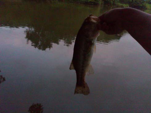 f:id:puchitenshi:20130815001416j:image f:id:puchitenshi:20130815001416j:image