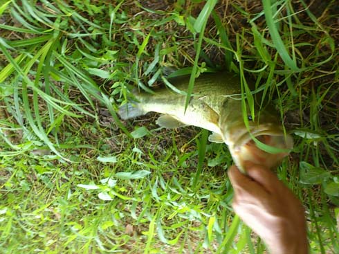 f:id:puchitenshi:20130815001518j:image f:id:puchitenshi:20130815001518j:image