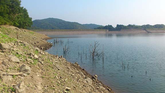 f:id:puchitenshi:20130818090442j:image