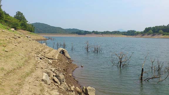 f:id:puchitenshi:20130818091043j:image