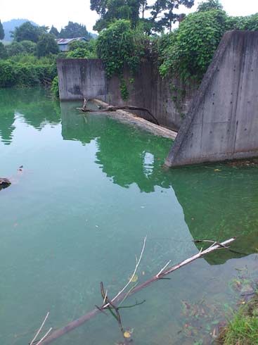 f:id:puchitenshi:20130828051915j:image