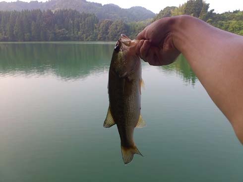 f:id:puchitenshi:20130828052026j:image