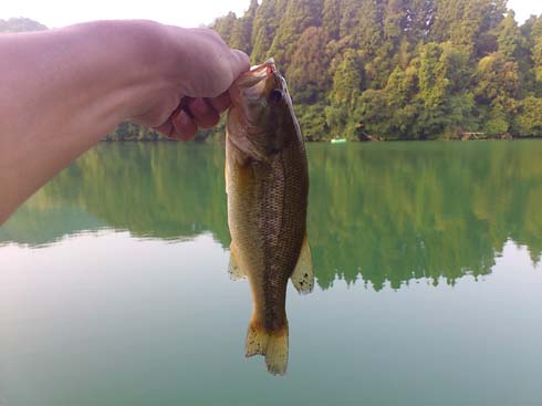 f:id:puchitenshi:20130828052052j:image