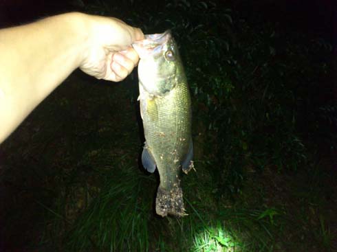 f:id:puchitenshi:20130828052201j:image