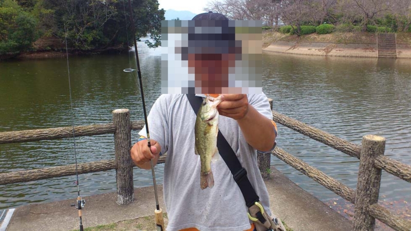 f:id:puchitenshi:20130924195617j:image