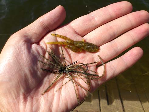 f:id:puchitenshi:20130924195749j:image