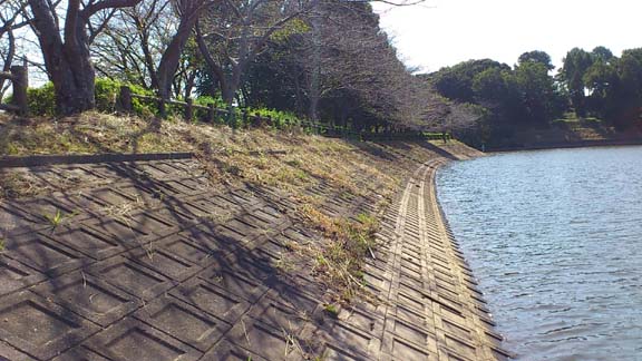 f:id:puchitenshi:20130924195806j:image